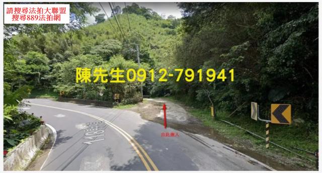 復興休閒地法拍-8