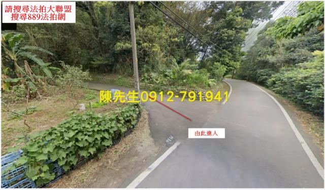 新竹關西山坡地法拍-8