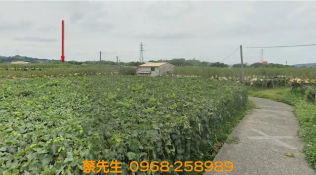 苗栗卓蘭農地法拍-13