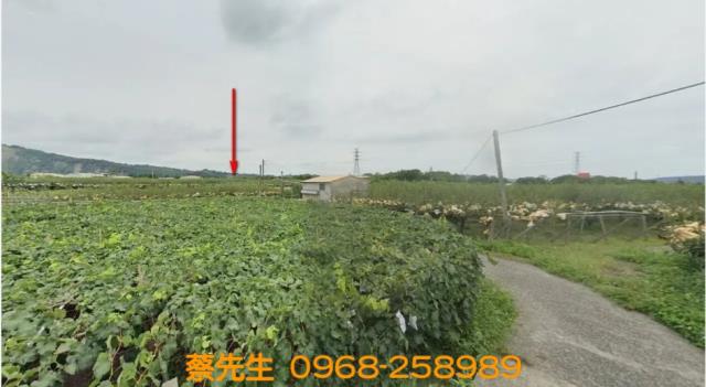 苗栗卓蘭農地法拍-0