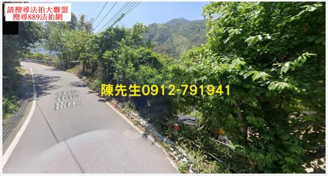 信義鄉法拍原住民保留地-9