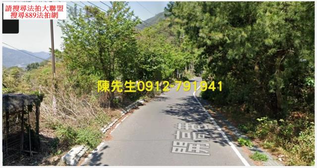 信義鄉法拍原住民保留地-10