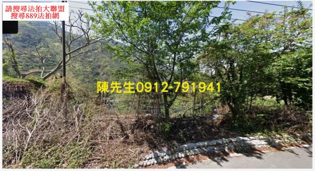 信義鄉法拍原住民保留地-7