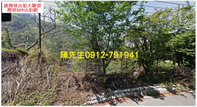 信義鄉法拍原住民保留地-8