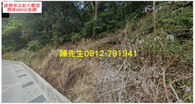 深坑農地法拍-8