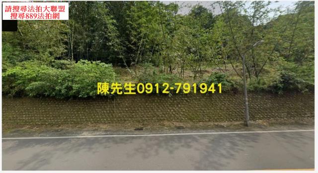 南港種菜地法拍-0