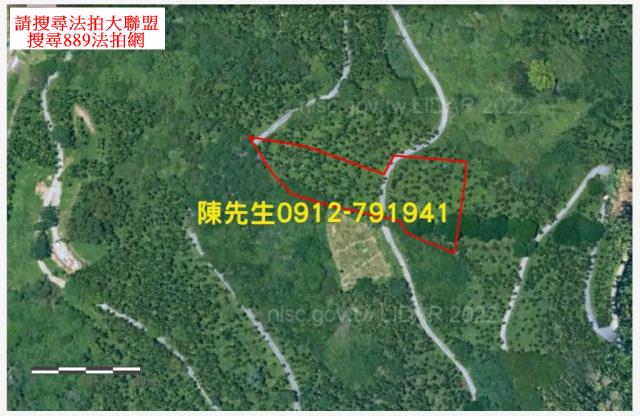 壽豐法拍農地-3