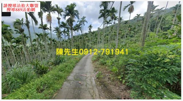 壽豐法拍農地-8