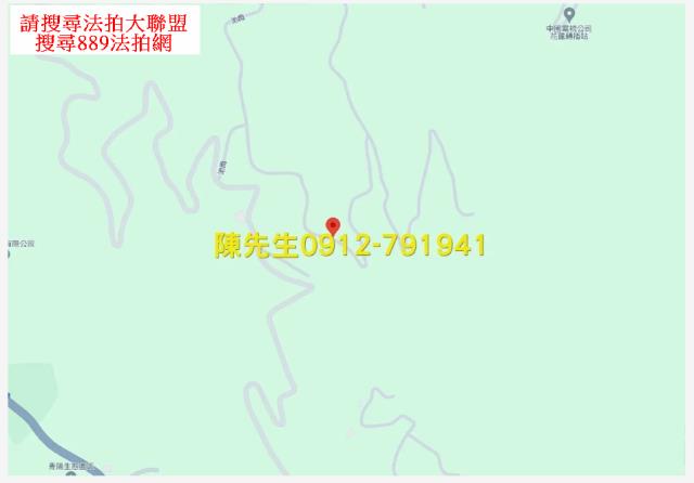 壽豐農地法拍-13