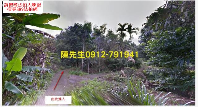 壽豐農地法拍-1