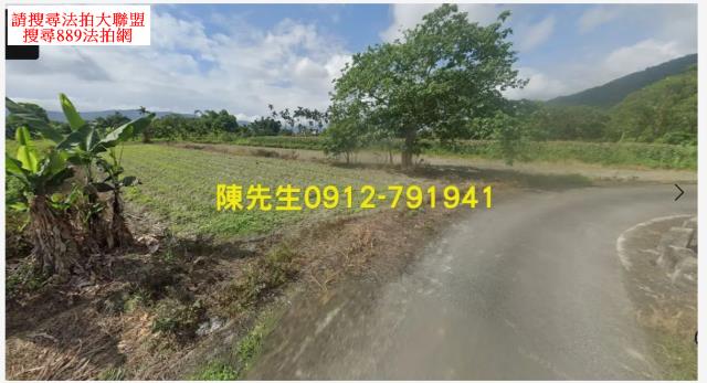 壽豐拍賣農地-9