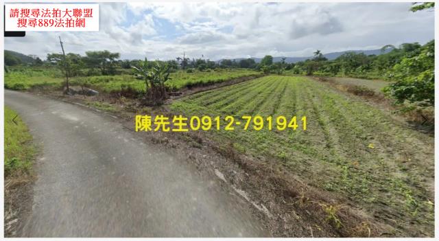 壽豐拍賣農地-10