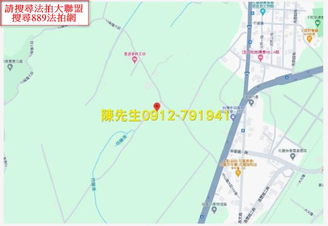壽豐拍賣農地-13