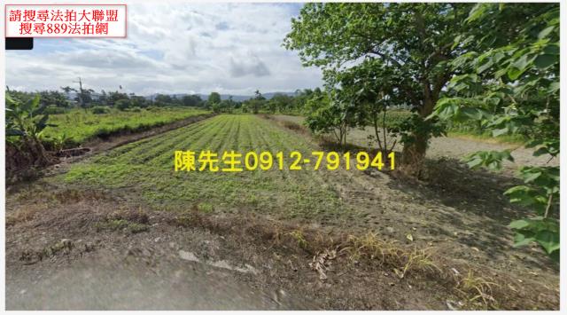 壽豐拍賣農地-0