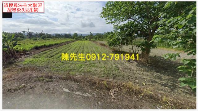 壽豐拍賣農地-7