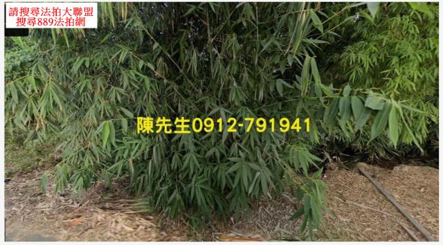 新化農地法拍-9