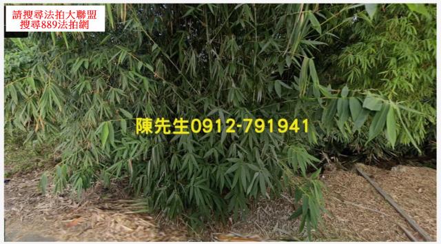 新化農地法拍-7
