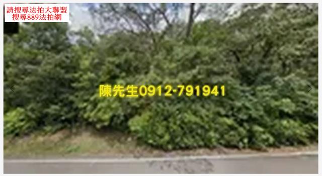 內湖休閒地法拍-0