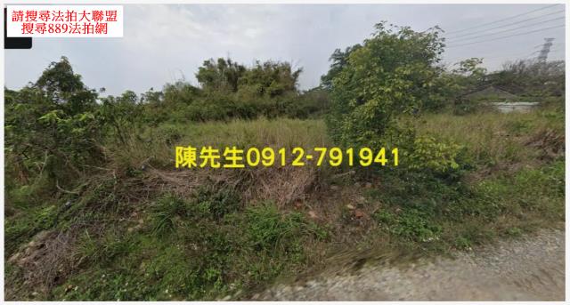 通霄法拍農地-8