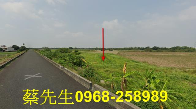 朴子法拍農地-9
