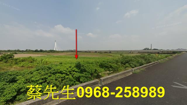 朴子法拍農地-12