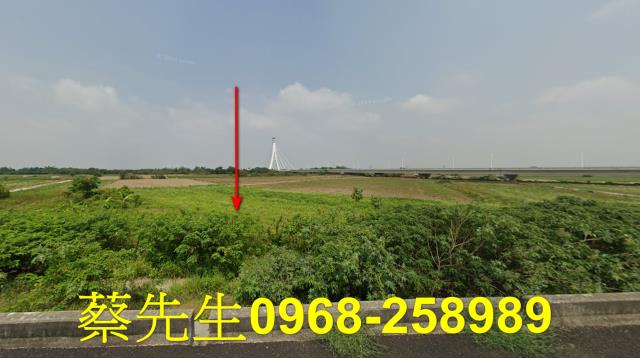 朴子法拍農地-3