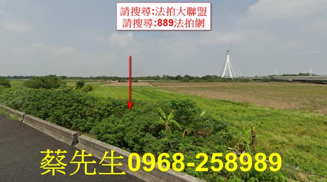 朴子法拍農地-8
