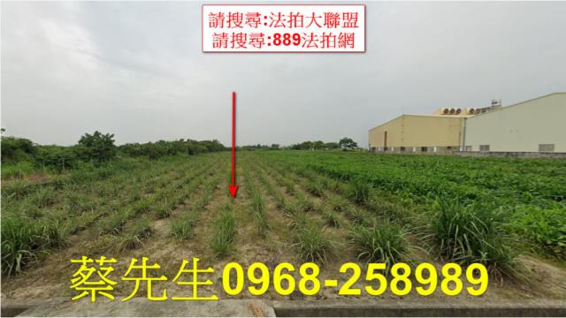 嘉義法拍農地-0