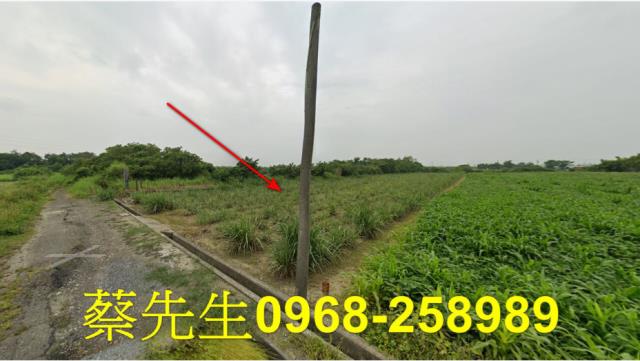 嘉義法拍農地-1