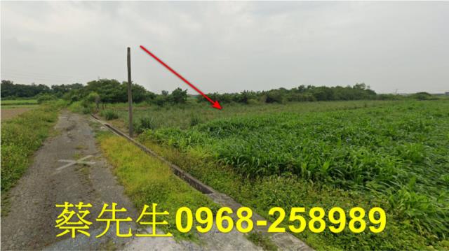 嘉義法拍農地-2