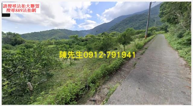 海端山坡地法拍-9