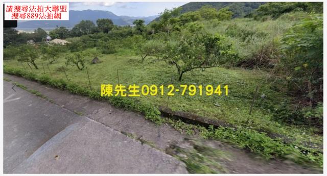 海端山坡地法拍-10