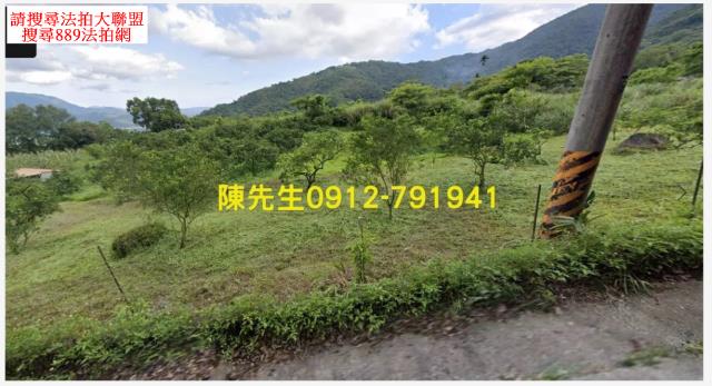 海端山坡地法拍-8