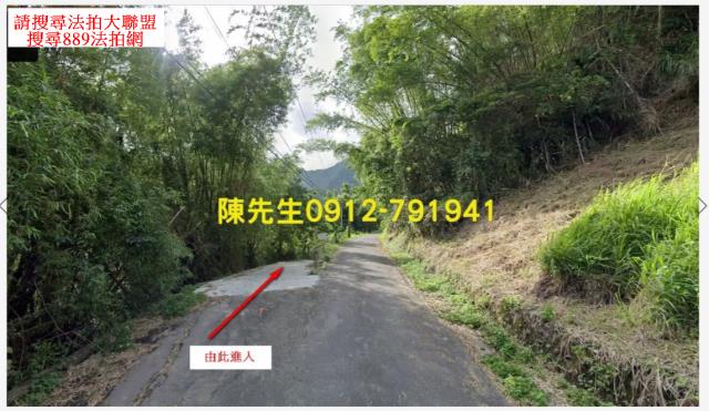長濱農地法拍-8