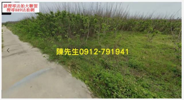 西嶼農地法拍-10