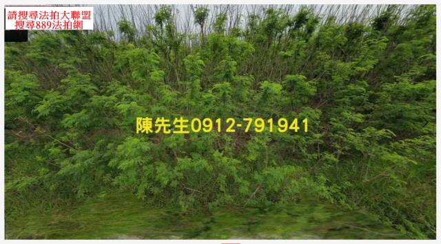 西嶼農地法拍-7