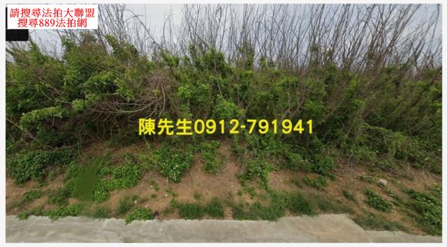 西嶼農地拍賣-7