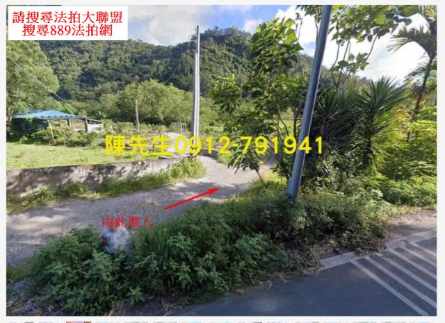 花蓮卓溪農地拍賣-10