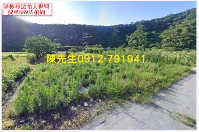 卓溪拍賣農地-9