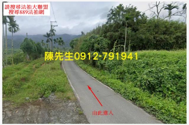 玉里山坡地拍賣-9