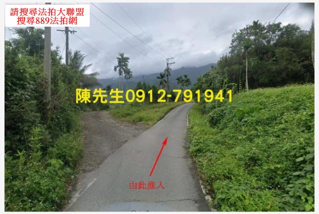 玉里山坡地拍賣-10