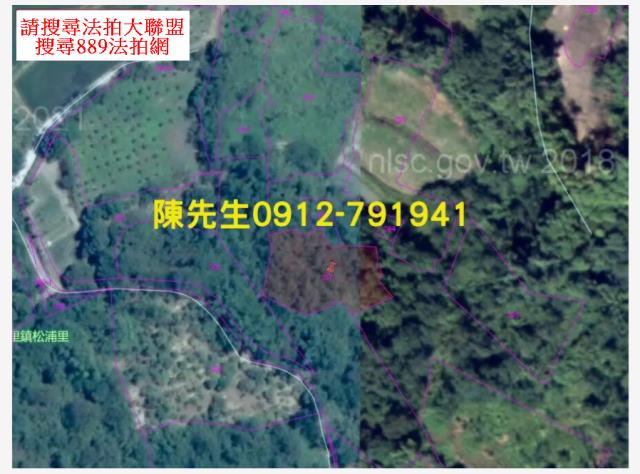 玉里山坡地拍賣-14