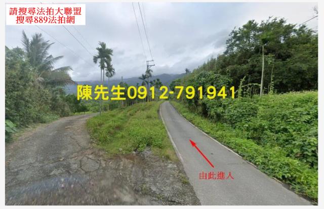 玉里山坡地拍賣-2