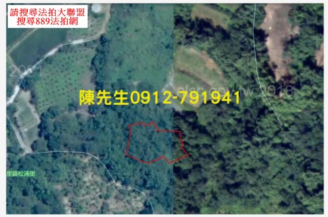 玉里山坡地拍賣-6