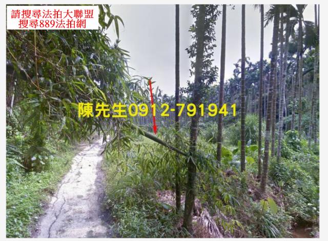 嘉義農地拍賣-10