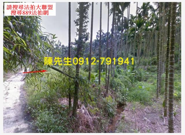 嘉義農地拍賣-11