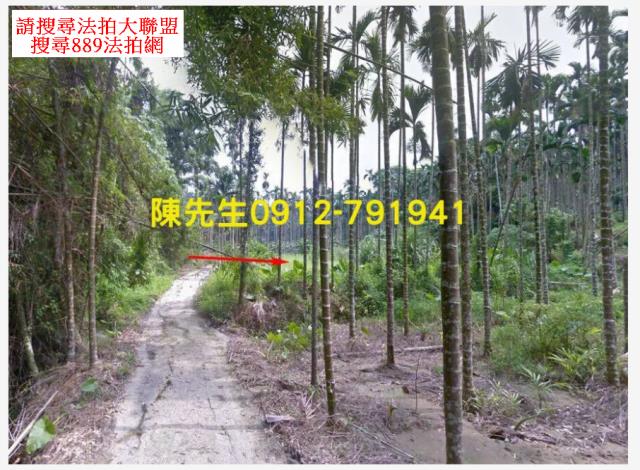 嘉義農地拍賣-12