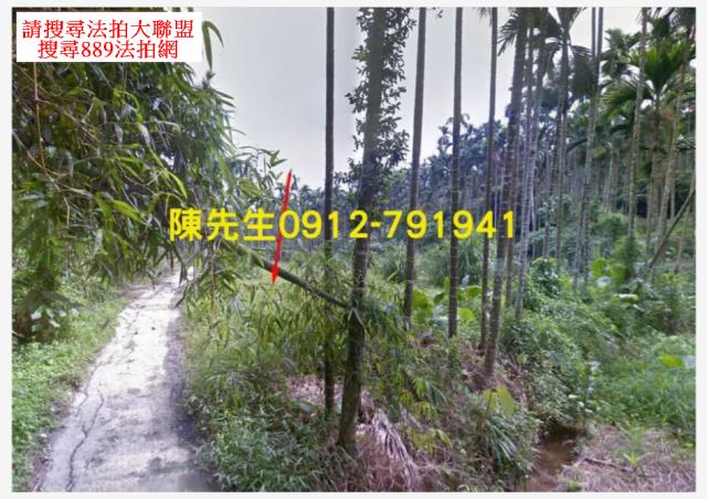 嘉義農地拍賣-0