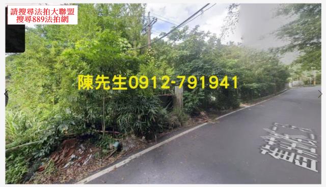 南港種菜地法拍-0
