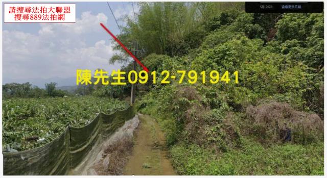 高雄甲仙農地法拍-10